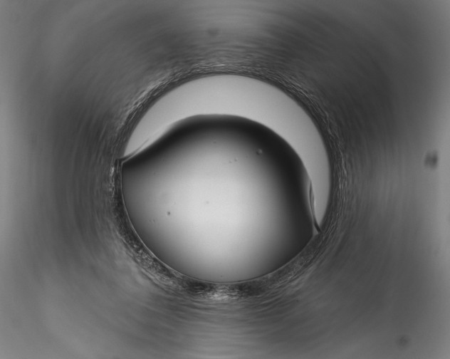 X0000115530308200911271352