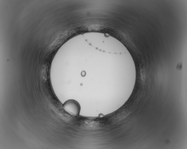 X0000115530311200911271352