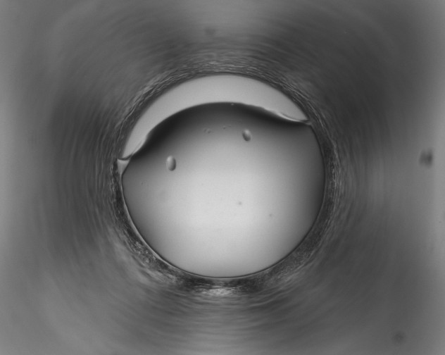 X0000115530312200911271352