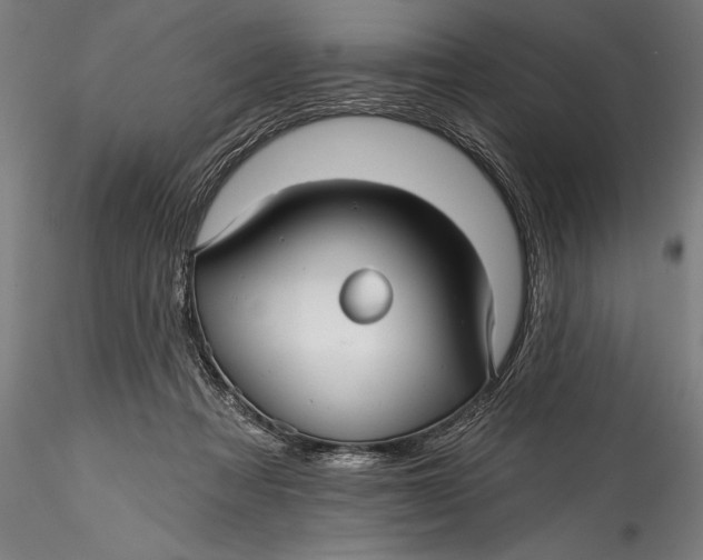 X0000115530313200911271352