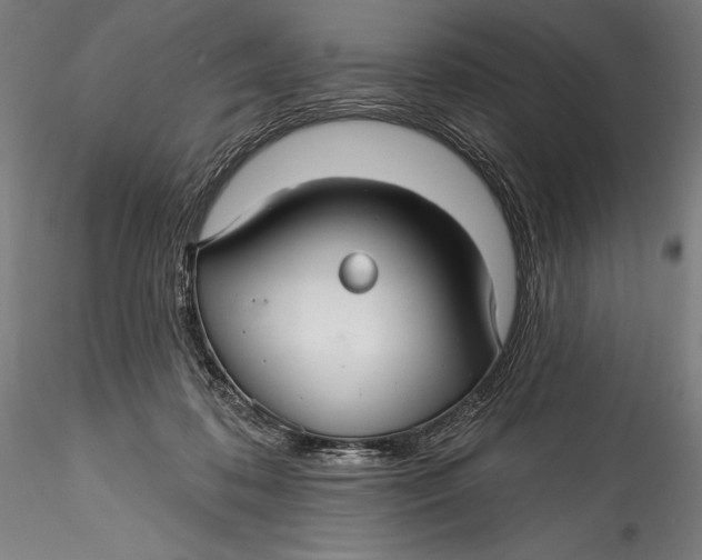 X0000115530316200911271352