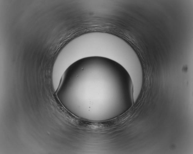 X0000115530317200911271352