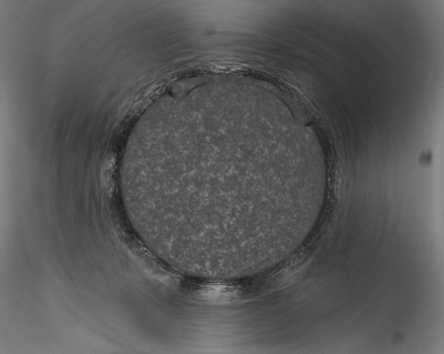 X0000115530319200911271352