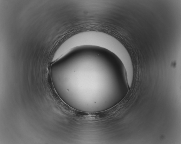 X0000115530320200911271352