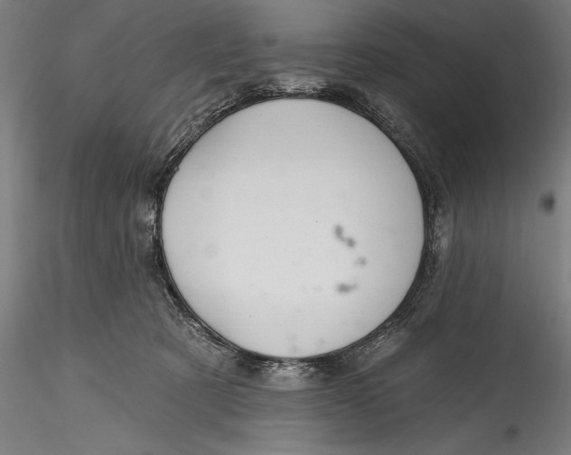 X0000115530321200911271352