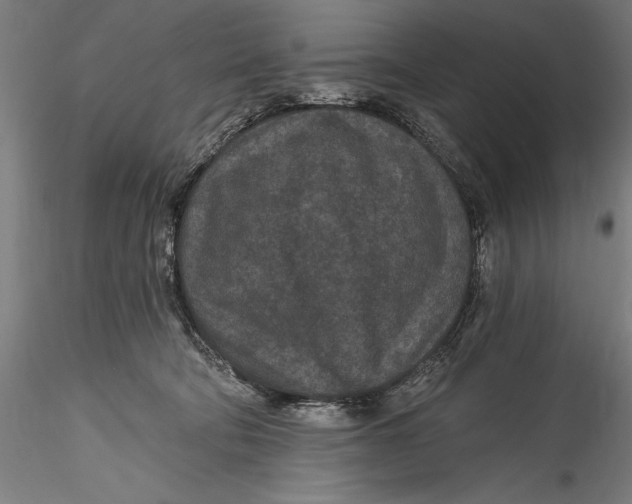 X0000115530322200911271352