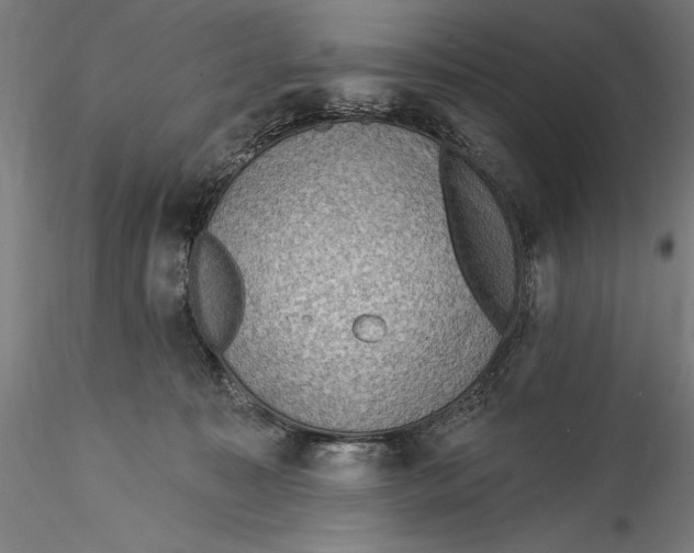 X0000115530323200911271352