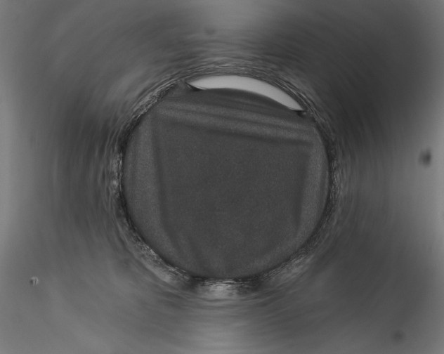 X0000115530325200911271352