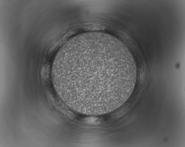 X0000115530326200911271352