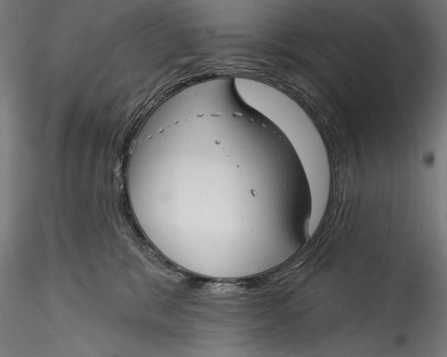 X0000115530327200911271352