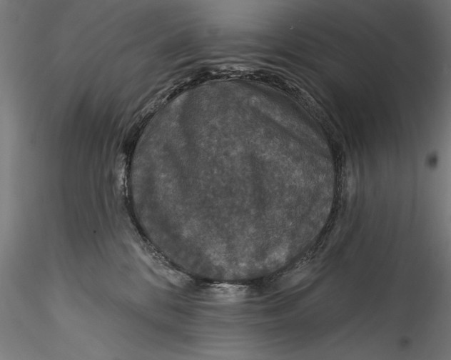 X0000115530328200911271352