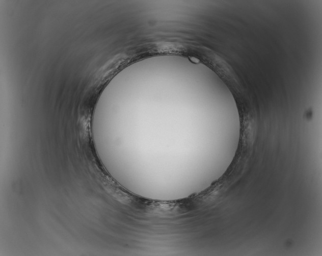 X0000115530329200911271352