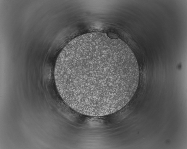 X0000115530331200911271352