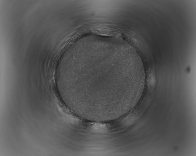 X0000115530332200911271352