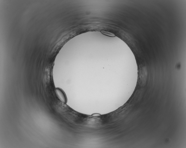 X0000115530333200911271352