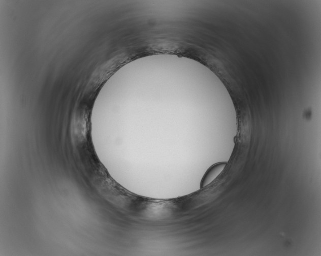 X0000115530334200911271352