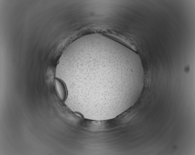 X0000115530335200911271352