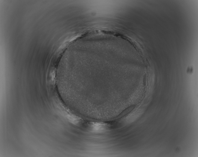 X0000115530336200911271352