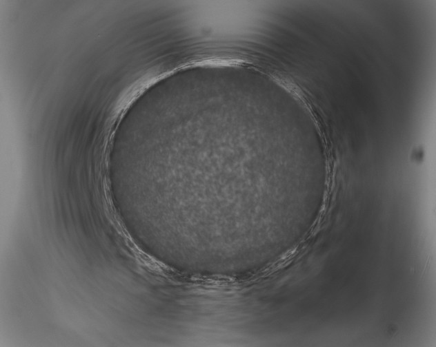 X0000115530337200911271351