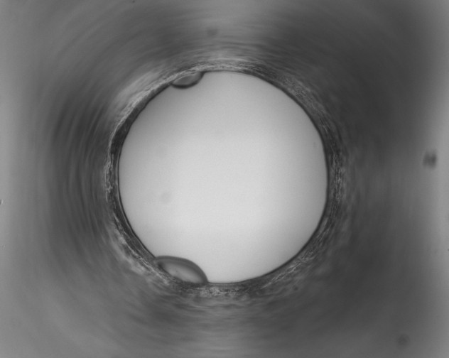 X0000115530338200911271351