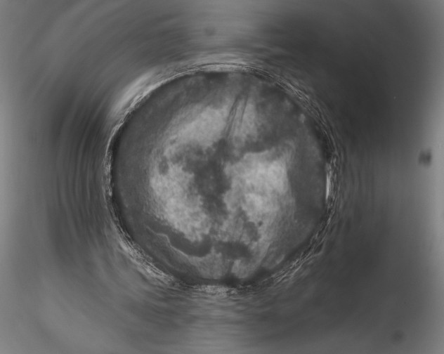 X0000115530339200911271351