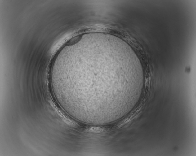 X0000115530341200911271351