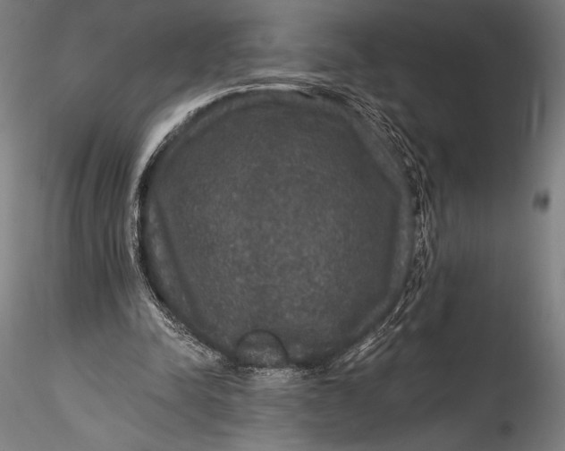 X0000115530342200911271351