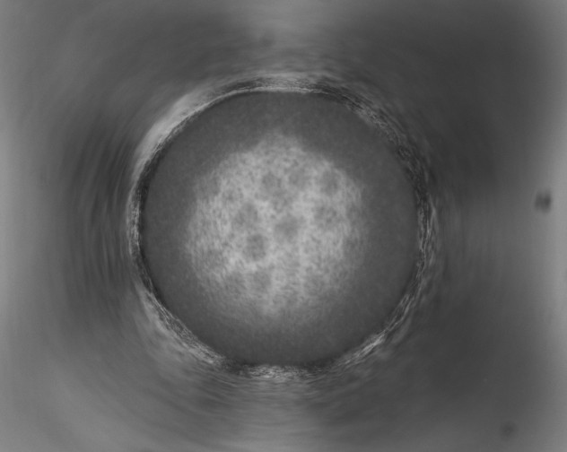 X0000115530343200911271351