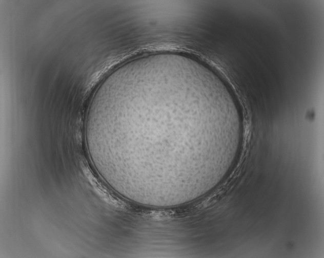 X0000115530345200911271351