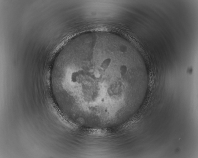 X0000115530347200911271351