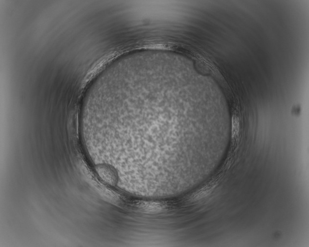 X0000115530349200911271351