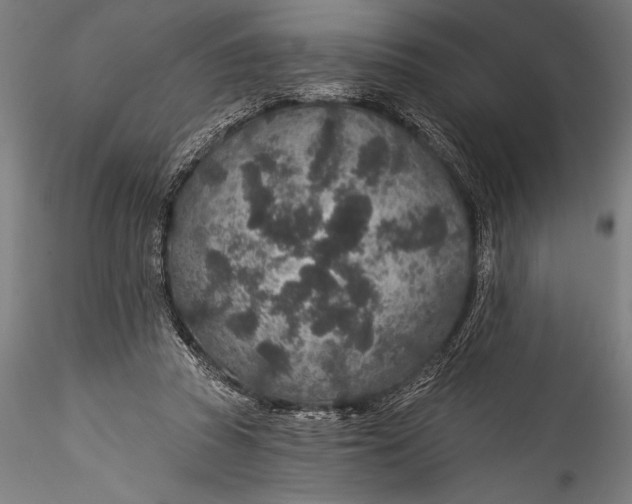 X0000115530353200911271351