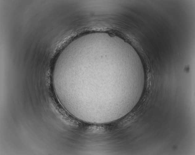 X0000115530354200911271351