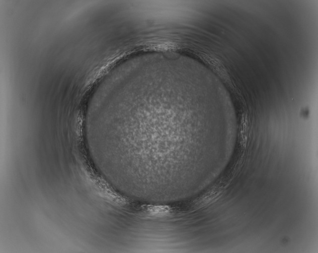 X0000115530355200911271351