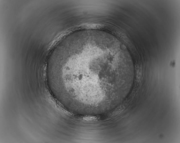 X0000115530357200911271351