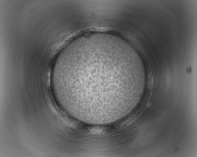 X0000115530358200911271351