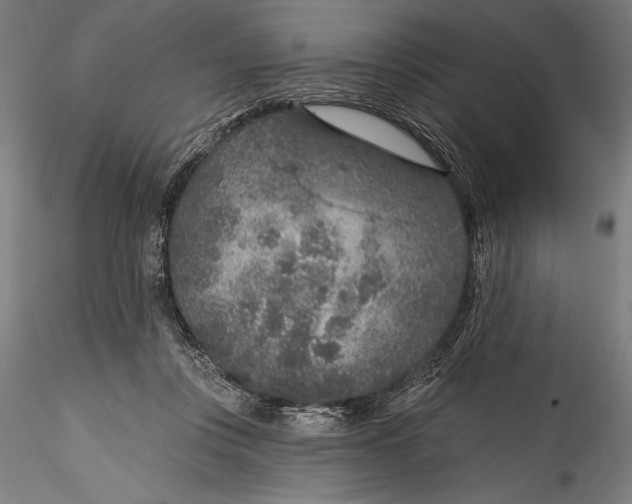 X0000115530359200911271351