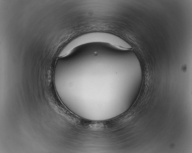 X0000115530362200911271351