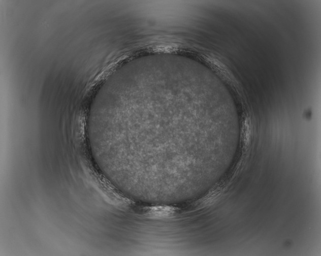 X0000115530363200911271351