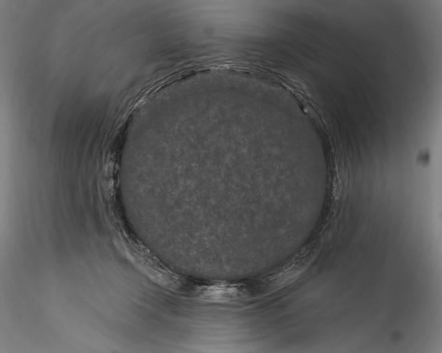 X0000115530366200911271352