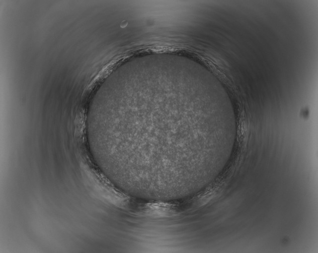 X0000115530367200911271352