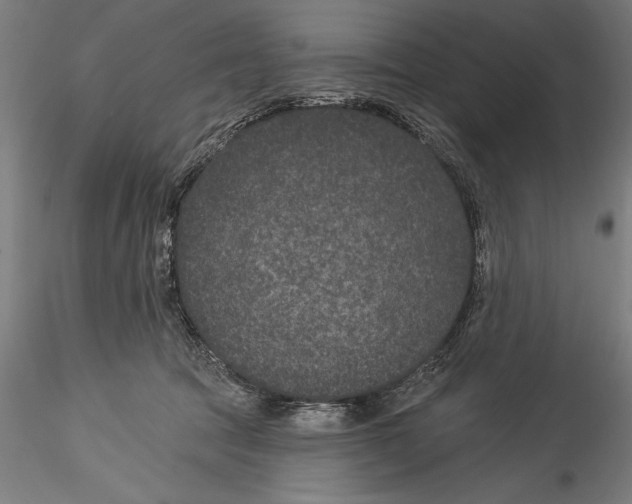 X0000115530369200911271352