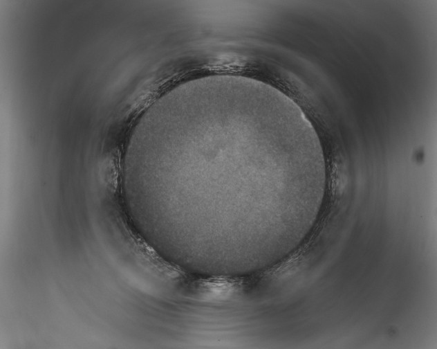 X0000115530370200911271352