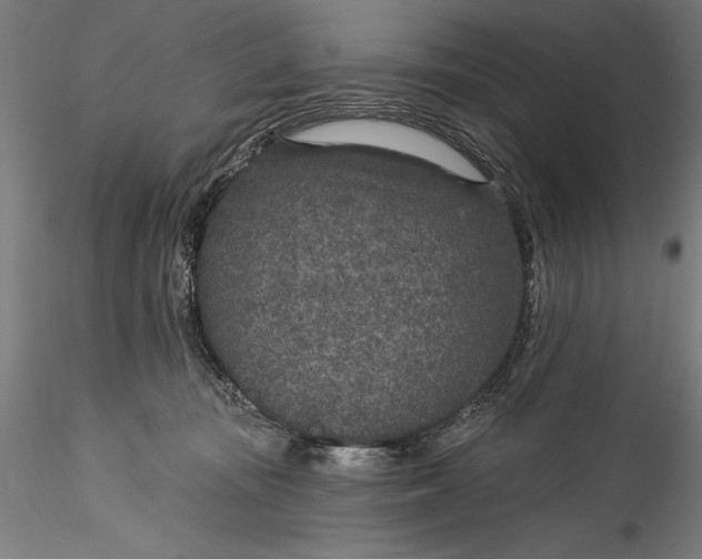 X0000115530371200911271352