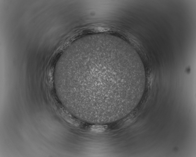 X0000115530373200911271352