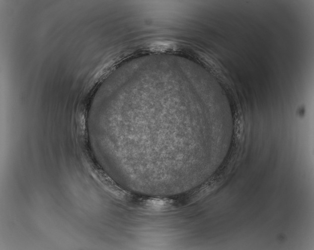 X0000115530375200911271352