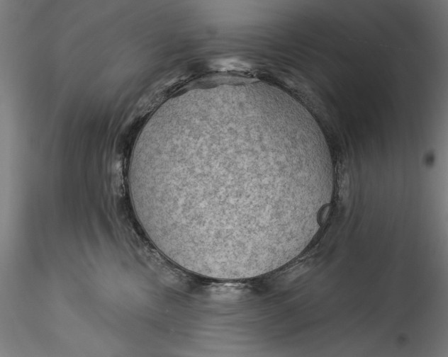 X0000115530378200911271352