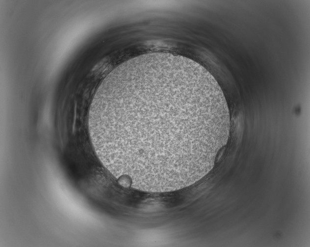 X0000115530381200911271352