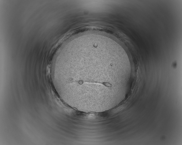 X0000115530382200911271352