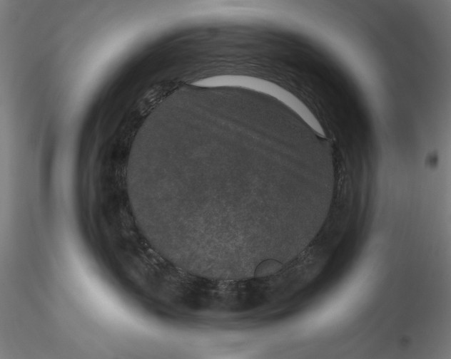 X0000115530383200911271352